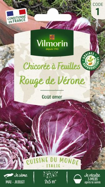 Potagères - Chicorée à Feuilles Rouge de Vérone - PACKAGING_RECTO